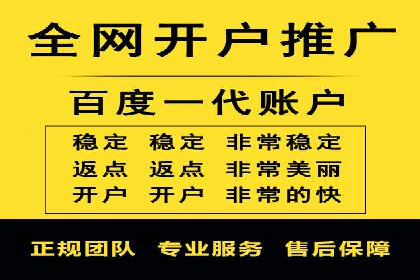 SEM代运营服务公司案例分析：数据驱动营销策略